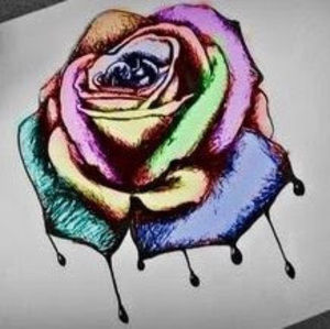 Meet your Posher, Bailey